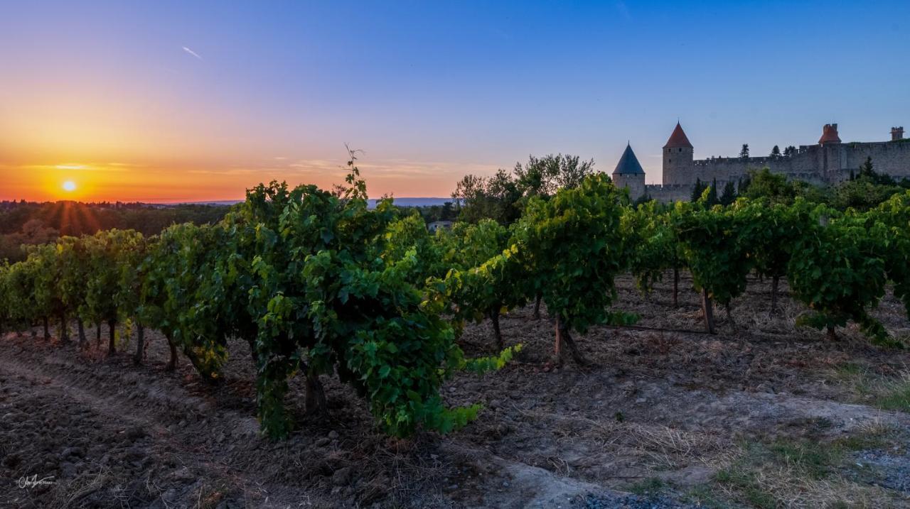 Cerise Carcassonne Sud Exterior foto