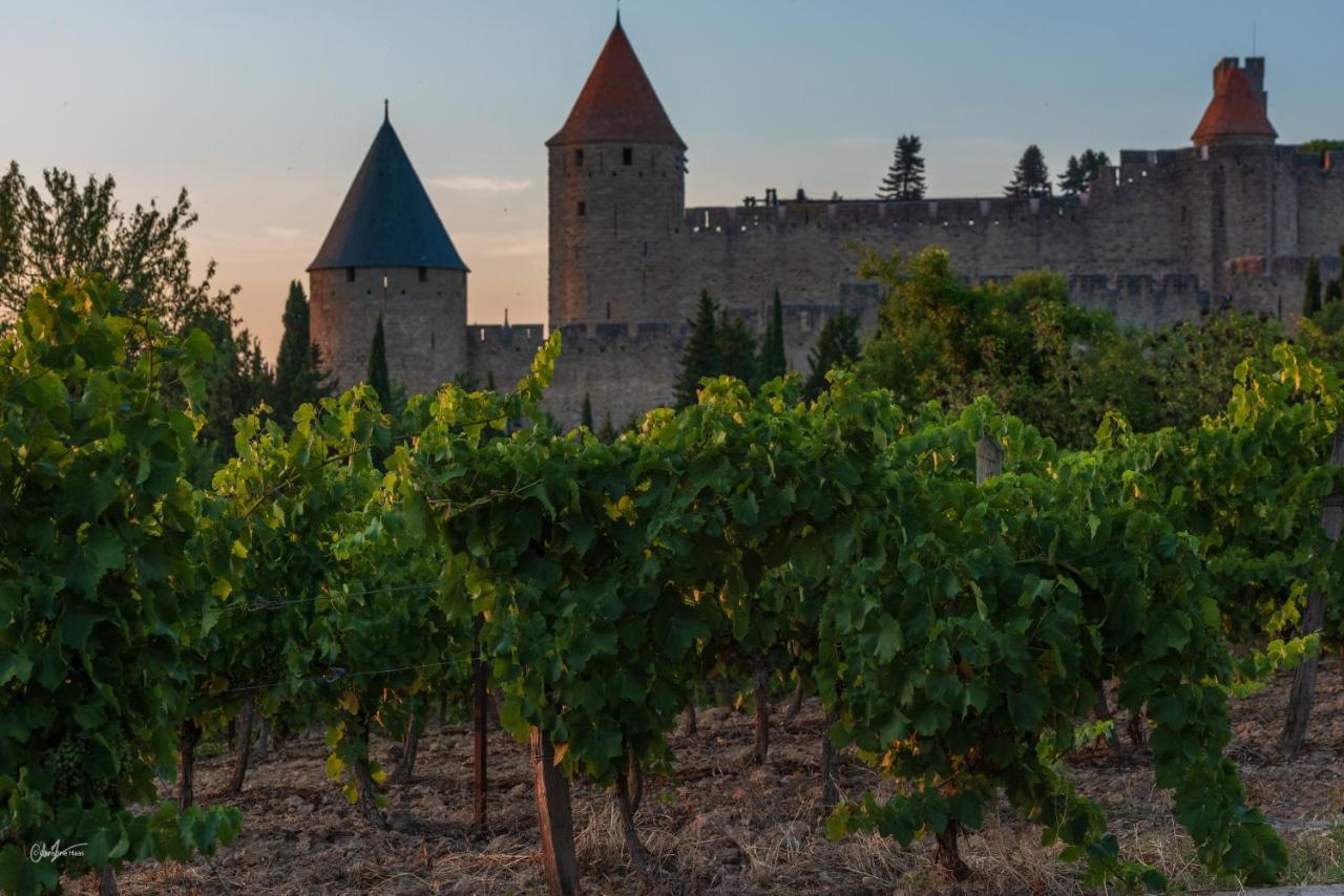 Cerise Carcassonne Sud Exterior foto